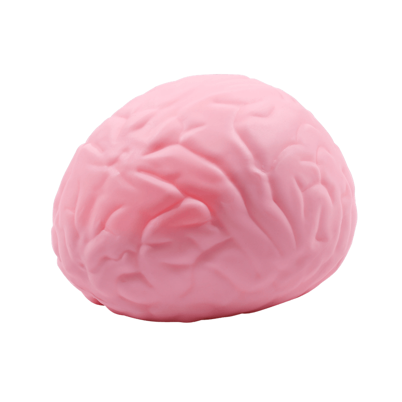 Juguete blando gigante con forma de cerebro, calmante suave y de ascenso lento para aliviar el estrés, accesorio de broma de órgano falso