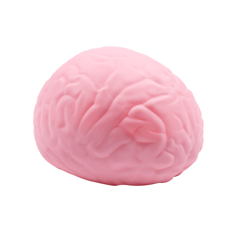 Juguete blando gigante con forma de cerebro, calmante suave y de ascenso lento para aliviar el estrés, accesorio de broma de órgano falso